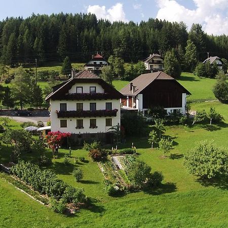 Haus Pfarrkirchner Daire Mauterndorf  Dış mekan fotoğraf