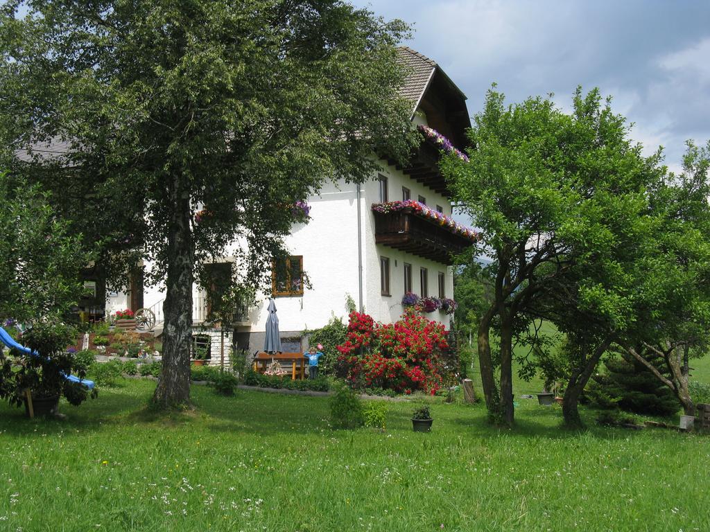 Haus Pfarrkirchner Daire Mauterndorf  Dış mekan fotoğraf